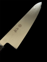 Ishizuka ORIGINAL Knife™ - Damascus VG10 Resin - Gyuto 240mm