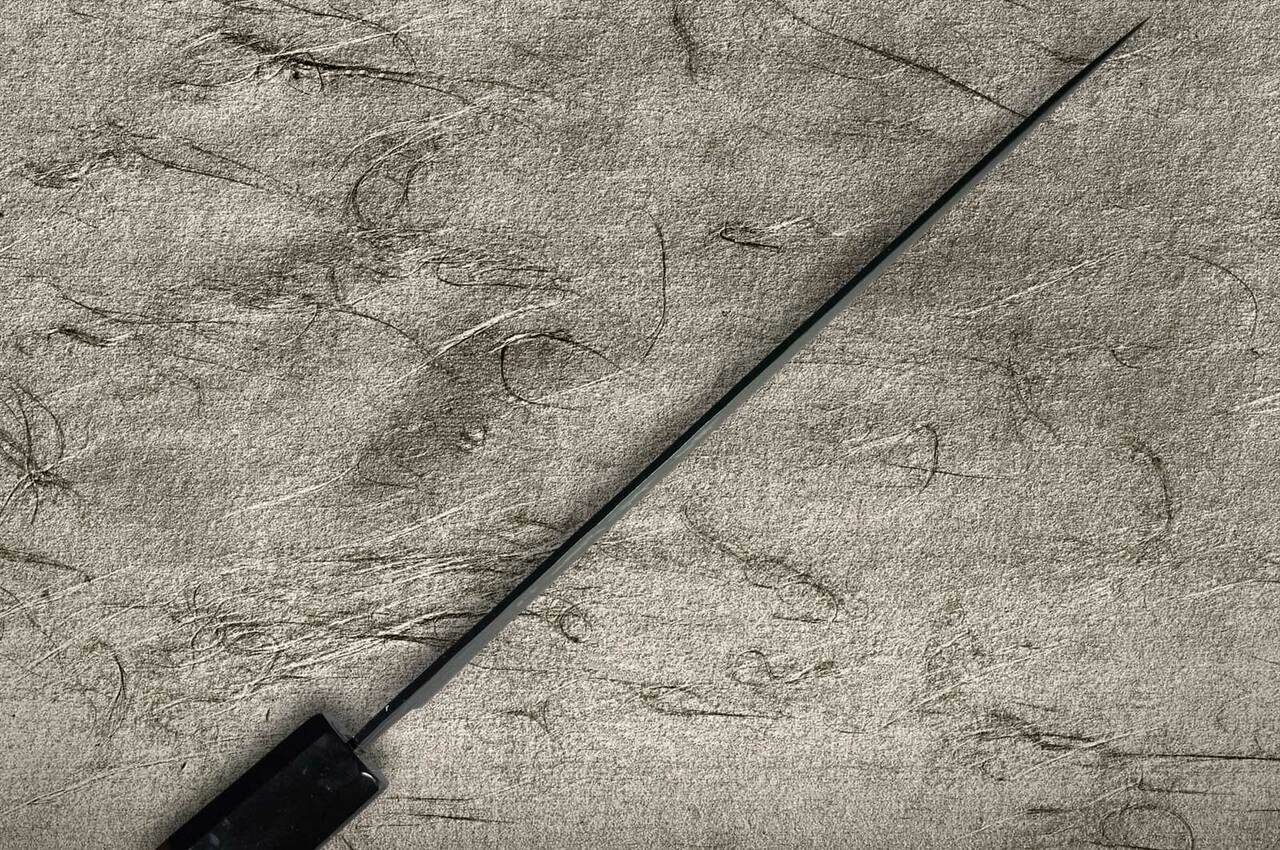 Wa Gyuto Kurokage 24